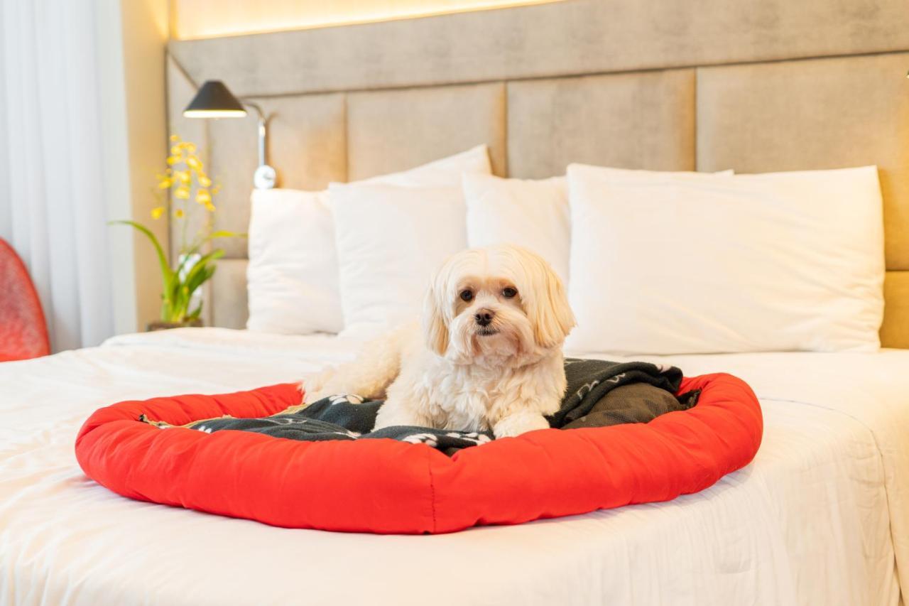 Mercure Sao Paulo Jardins Eksteriør billede